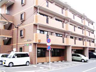 Image1
