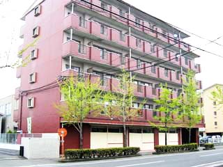 Image1